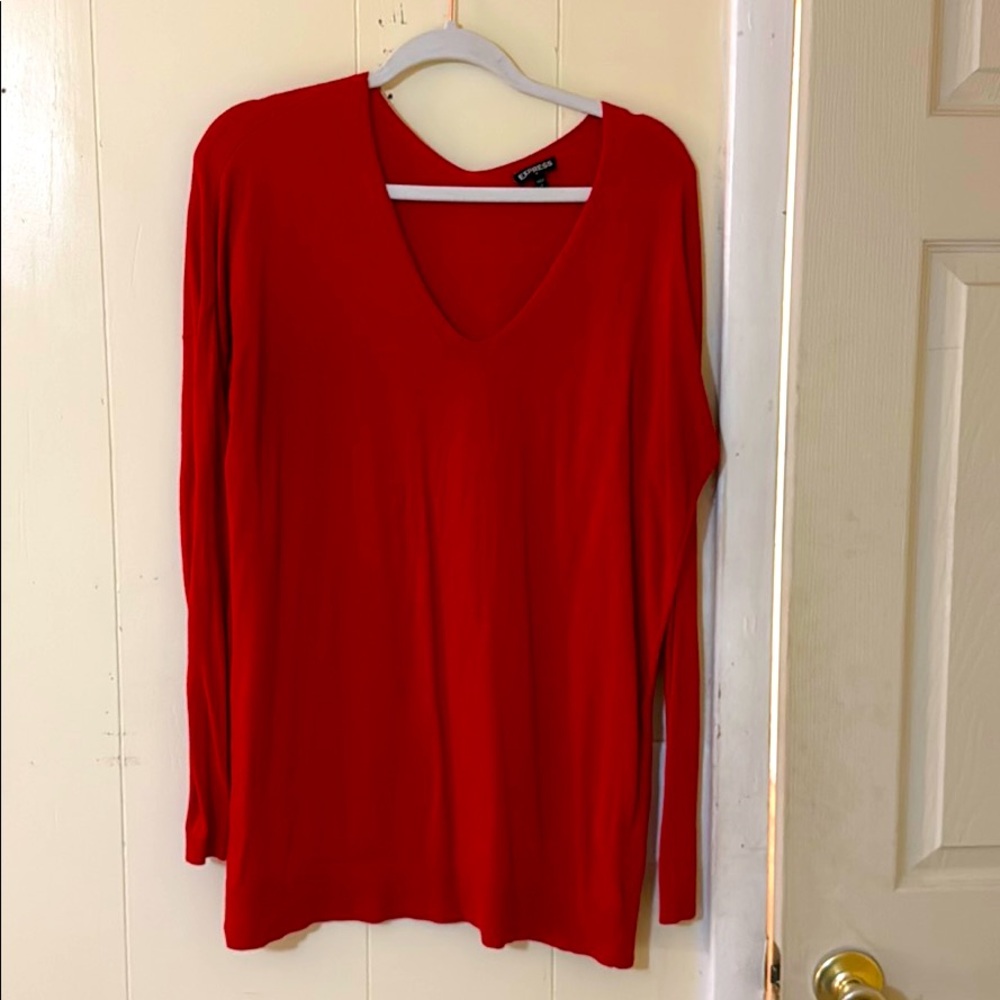 Express women’s sweater